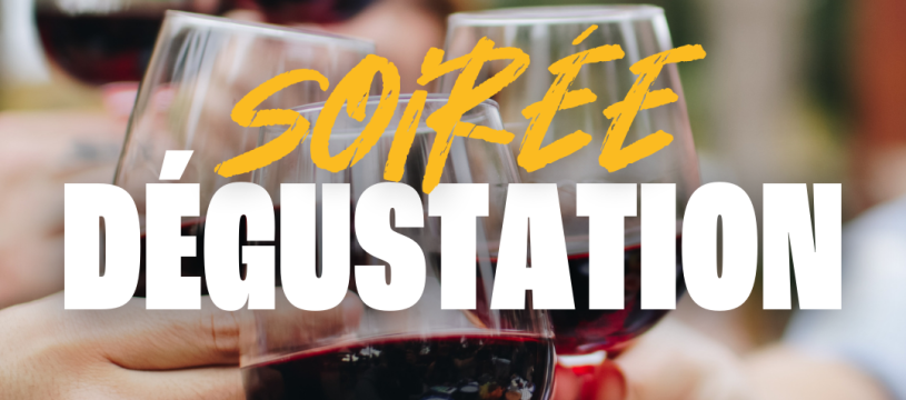 Dégustation des vins de Bordeaux